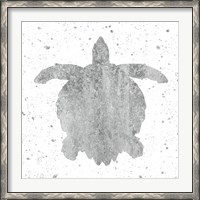 Framed Silver Sea Life Turtle