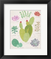 Framed Succulent Chart III on Wood