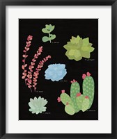 Framed Succulent Chart IV