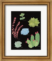 Framed Succulent Chart IV