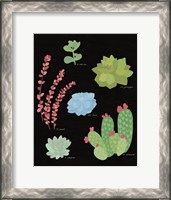 Framed Succulent Chart IV