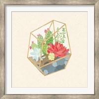 Framed Succulent Terrarium IV