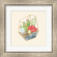 Framed Succulent Terrarium IV