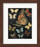 Framed Botanical Butterflies Postcard II Black