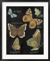 Framed Botanical Butterflies Postcard III Black