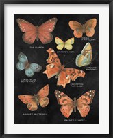 Framed Botanical Butterflies Postcard IV Black