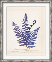 Framed Botanical Fern IV Blue