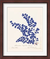 Framed Botanical Fern III Blue