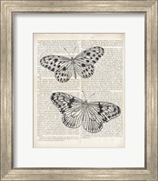 Framed Vintage Butterflies on Newsprint
