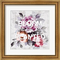 Framed 'Bloom Where You Are Planted' border=