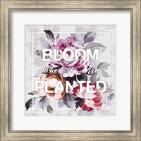 Framed 'Bloom Where You Are Planted' border=