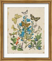 Framed Butterfly Bouquet II Linen