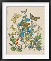 Framed Butterfly Bouquet II Linen