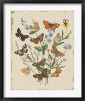 Framed Butterfly Bouquet I Linen