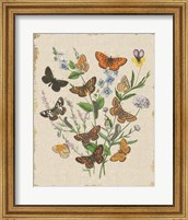 Framed Butterfly Bouquet I Linen