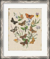 Framed Butterfly Bouquet I Linen