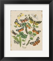 Framed Butterfly Bouquet IV Linen