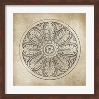 Framed Rosette VIII Neutral