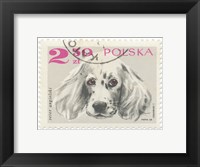 Framed Poland Stamp IV on White