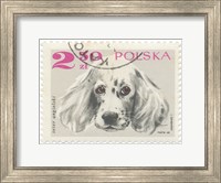 Framed Poland Stamp IV on White