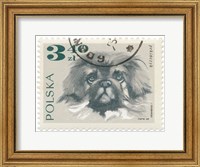 Framed Poland Stamp III on White