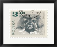 Framed Poland Stamp III on White