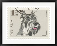 Framed Poland Stamp I on White