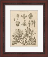 Framed Rhododendrons Vintage