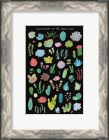 Framed Succulent Chart I of the Americas