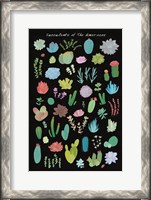 Framed Succulent Chart I of the Americas
