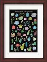 Framed Succulent Chart I of the Americas