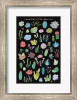 Framed Succulent Chart I of the Americas