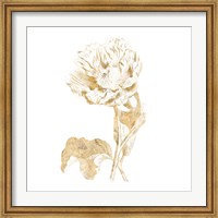 Framed Gilded Botanical VII Sq