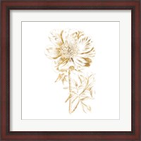 Framed Gilded Botanical VIII Sq
