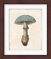 Framed Funghi Velenosi Blue Green