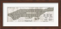 Framed New York Parks Map