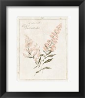 Framed Flowers on White I with Words