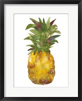 Framed Harriets Pineapple I