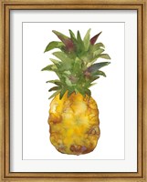 Framed Harriets Pineapple I