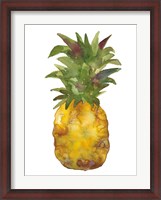 Framed Harriets Pineapple I