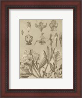 Framed Rhododendrons