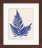 Framed Botanical Fern XI Blue