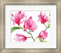 Framed Bright Magnolias