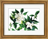 Framed Bright Gardenias