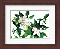 Framed Bright Gardenias