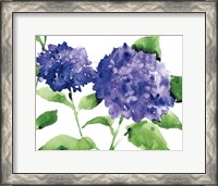 Framed Bright Hydrangeas