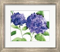 Framed Bright Hydrangeas