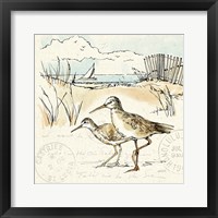 Coastal Breeze IX Framed Print