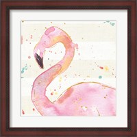 Framed Flamingo Fever III no Words