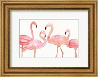 Framed Flamingo Fever I no Splatter